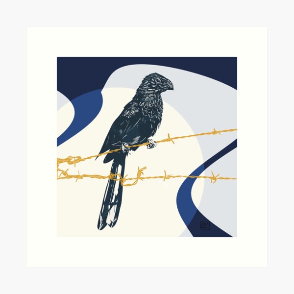 Groove Billed Ani - The mysterious bird Art Print