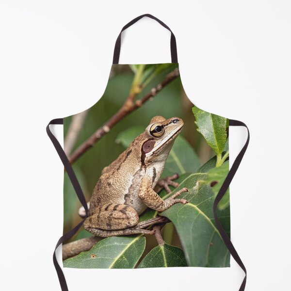 Item preview, Southern brown tree frog designed and sold by pawprintz.