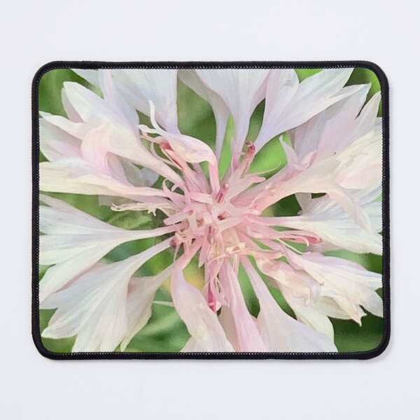 Item preview, Delicate Petals designed and sold by Betsy Phillips.