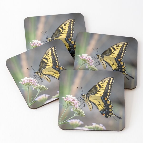 Item preview, Swallow-tail butterfly designed and sold by pawprintz.