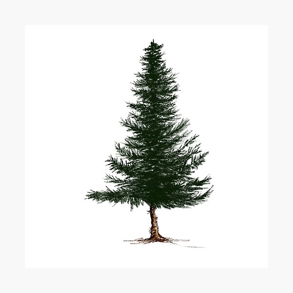 Item preview, Pine Tree designed and sold by MySketchbook123.