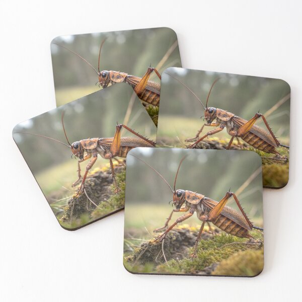 Item preview, Weta new zealand designed and sold by pawprintz.