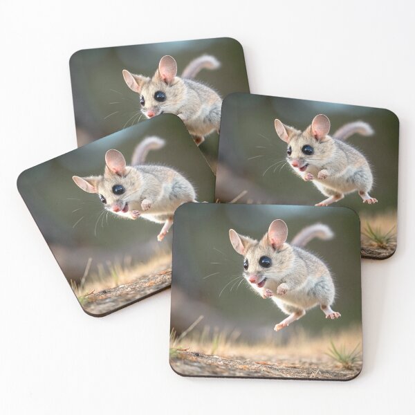 Item preview, Dunnart jumping for joy designed and sold by pawprintz.