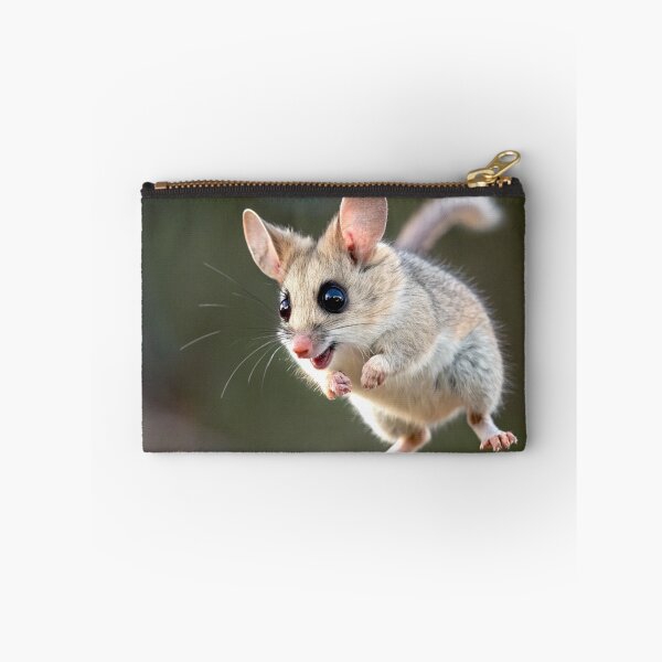 Item preview, Dunnart jumping for joy designed and sold by pawprintz.