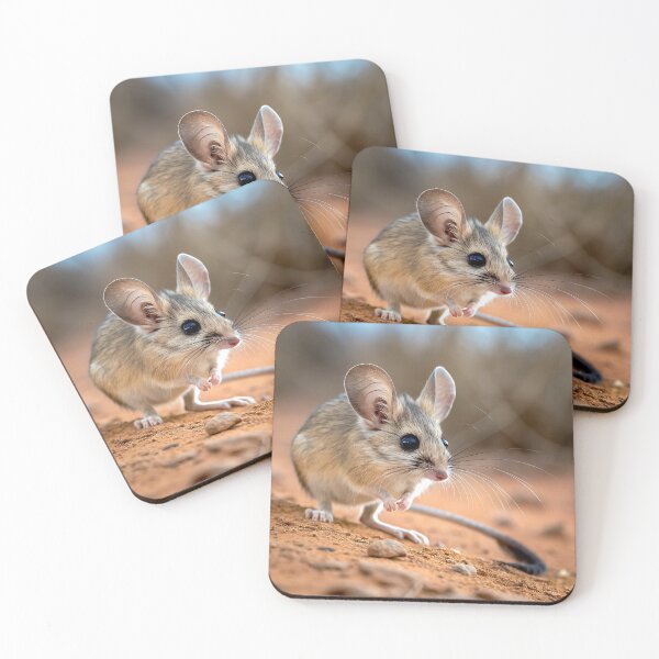 Item preview, Spinifex hopping-mouse designed and sold by pawprintz.
