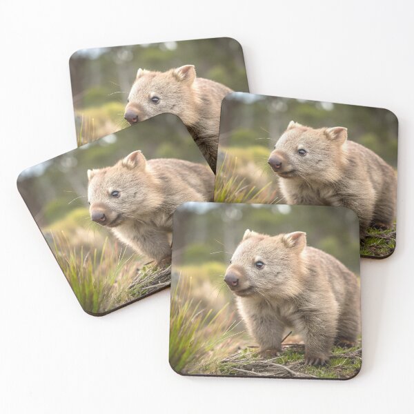 Item preview, Wombat in the wild designed and sold by pawprintz.