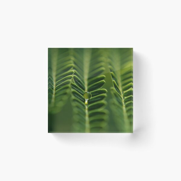 Item preview, a green drop designed and sold by michelle meenawong.