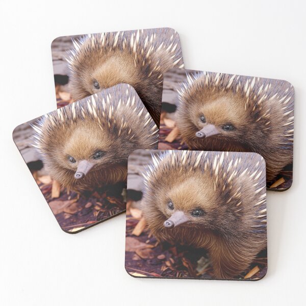 Item preview, Echidna spiny ant-eater designed and sold by pawprintz.