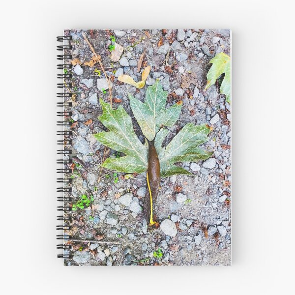 Item preview, A Slug's Life designed and sold by moon.over.pnw.