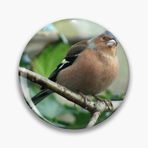 Item preview, chaffinch designed and sold by KathleenDawson.