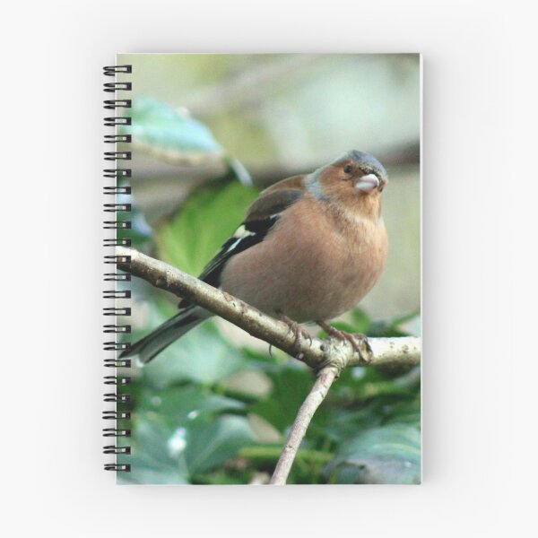 Item preview, chaffinch designed and sold by KathleenDawson.