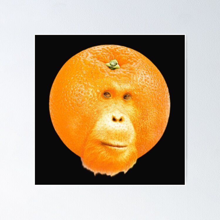 Orange orangutan monkey meme design Sticker
