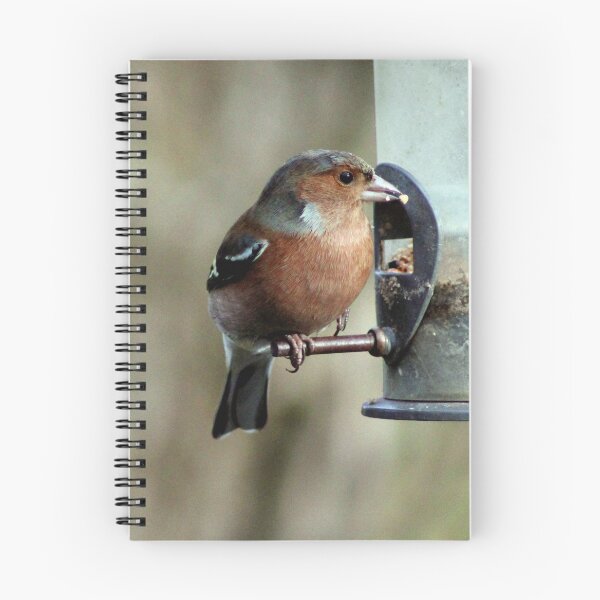 Item preview, chaffinch designed and sold by KathleenDawson.