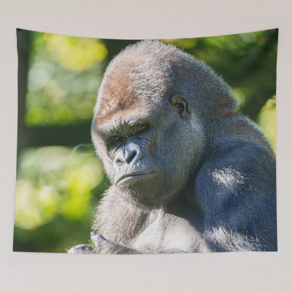 Item preview, Powerful Silverback Gorilla Mapema in Thought designed and sold by rawshutterbug.