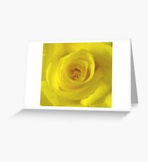 *YELLOW ROSE* Greeting Card