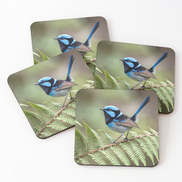 Item preview, Fairy-wren superb designed and sold by pawprintz.