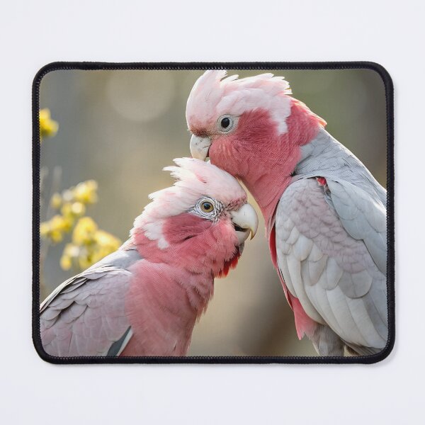 Item preview, Galah pair preening designed and sold by pawprintz.