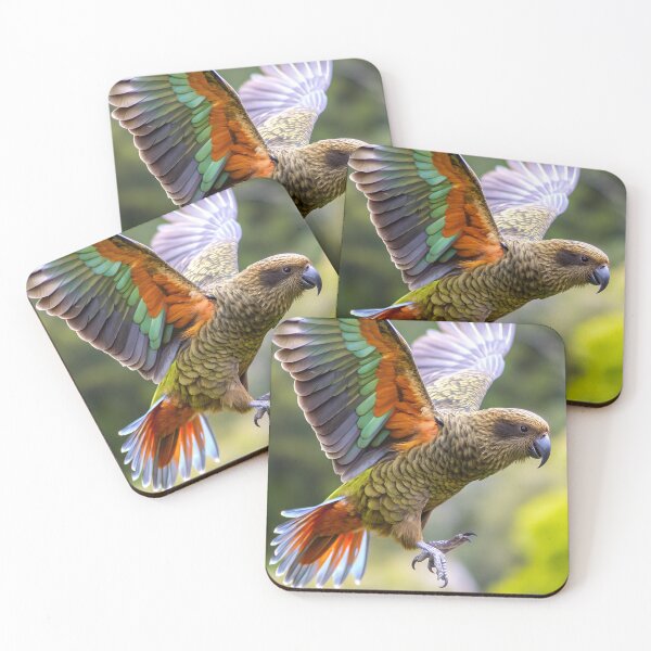 Item preview, Kea showing off its colours designed and sold by pawprintz.