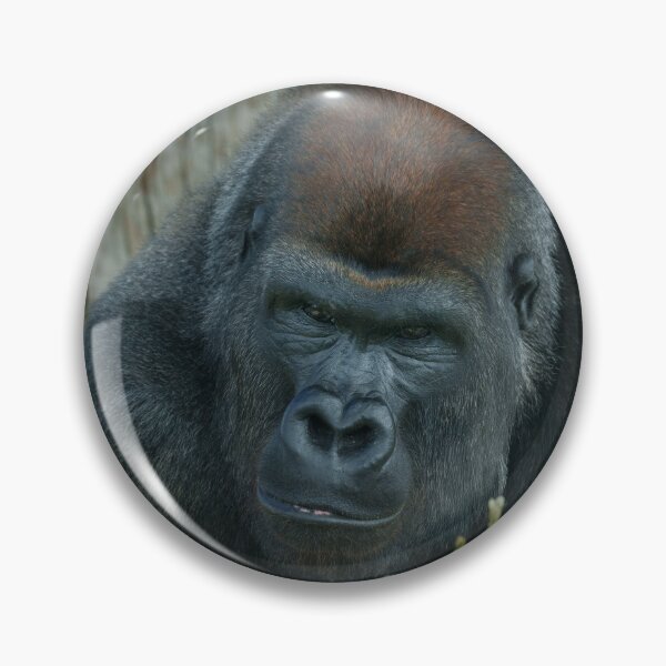 Item preview, Gorilla Lope's Chill Time  designed and sold by rawshutterbug.