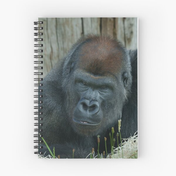 Item preview, Gorilla Lope's Chill Time  designed and sold by rawshutterbug.