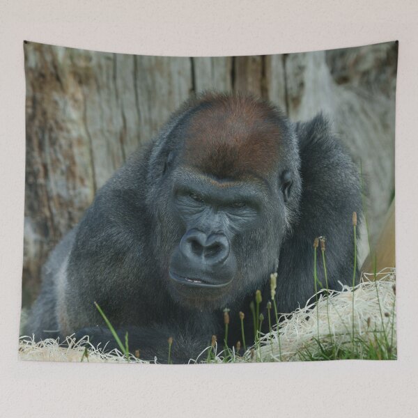 Item preview, Gorilla Lope's Chill Time  designed and sold by rawshutterbug.
