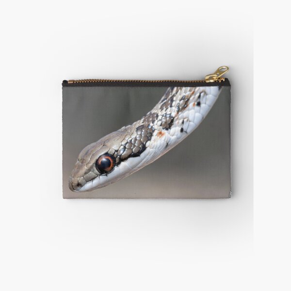 Item preview, Spotted Skaapsteker (Psammophylax rhombeatus) designed and sold by Pixel Press Prints.