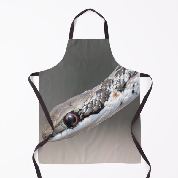Item preview, Spotted Skaapsteker (Psammophylax rhombeatus) designed and sold by Pixel Press Prints.