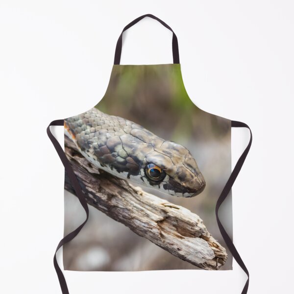 Item preview, Karoo Sand Snake (Psammophis notostictus) designed and sold by Pixel Press Prints.