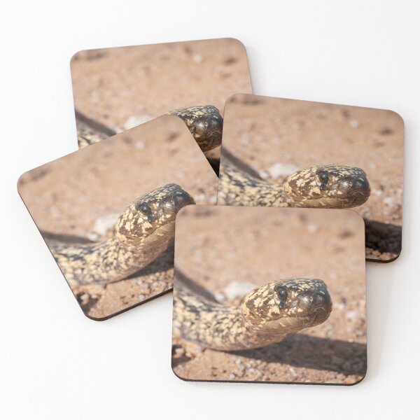 Item preview, Cape Cobra (Naja nivea) designed and sold by Pixel Press Prints.