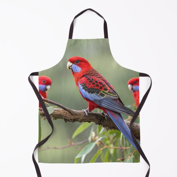 Item preview, Crimson Rosellas designed and sold by pawprintz.