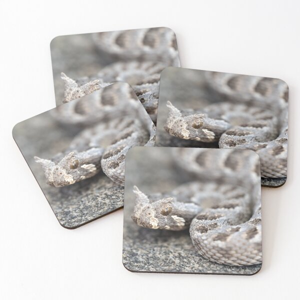 Item preview, Many-Horned Adder (Bitis cornuta) designed and sold by Pixel Press Prints.