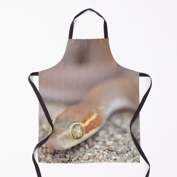 Item preview, Bug-Eyed House Snake (Boaedon mentalis) designed and sold by Pixel Press Prints.