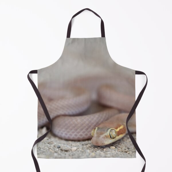 Item preview, Bug-Eyed House Snake (Boaedon mentalis) designed and sold by Pixel Press Prints.