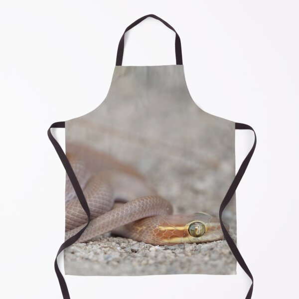 Item preview, Bug-Eyed House Snake (Boaedon mentalis) designed and sold by Pixel Press Prints.