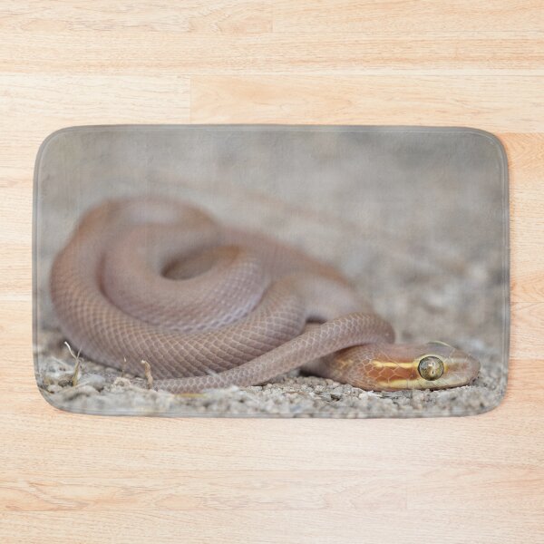 Item preview, Bug-Eyed House Snake (Boaedon mentalis) designed and sold by Pixel Press Prints.