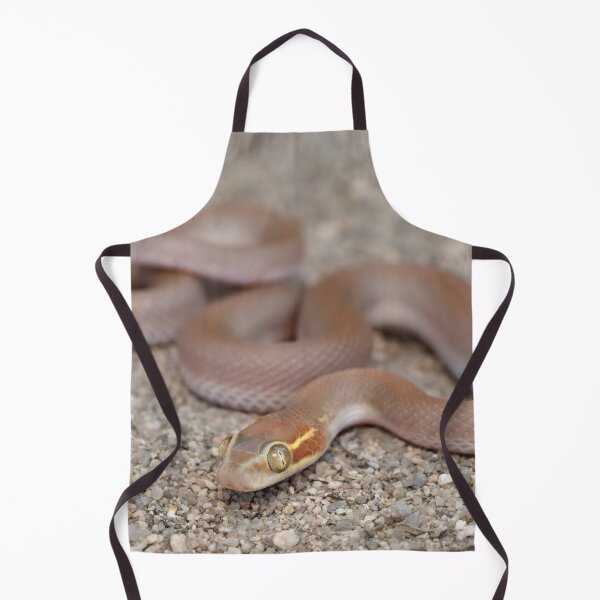 Item preview, Bug-Eyed House Snake (Boaedon mentalis) designed and sold by Pixel Press Prints.