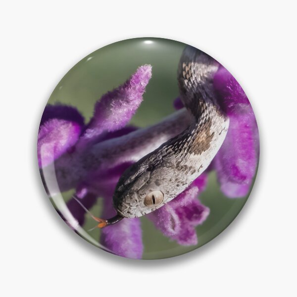 Item preview, Rhombic Egg-Eater (Dasypeltis scabra) designed and sold by Pixel Press Prints.