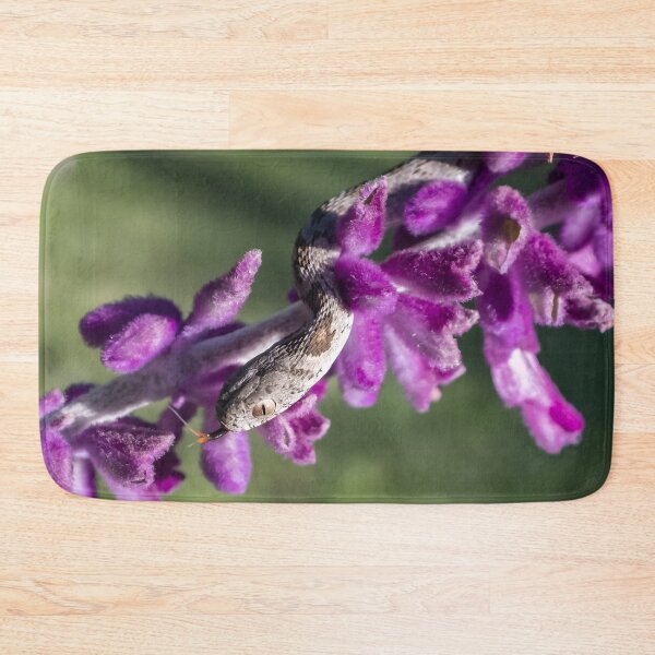 Item preview, Rhombic Egg-Eater (Dasypeltis scabra) designed and sold by Pixel Press Prints.
