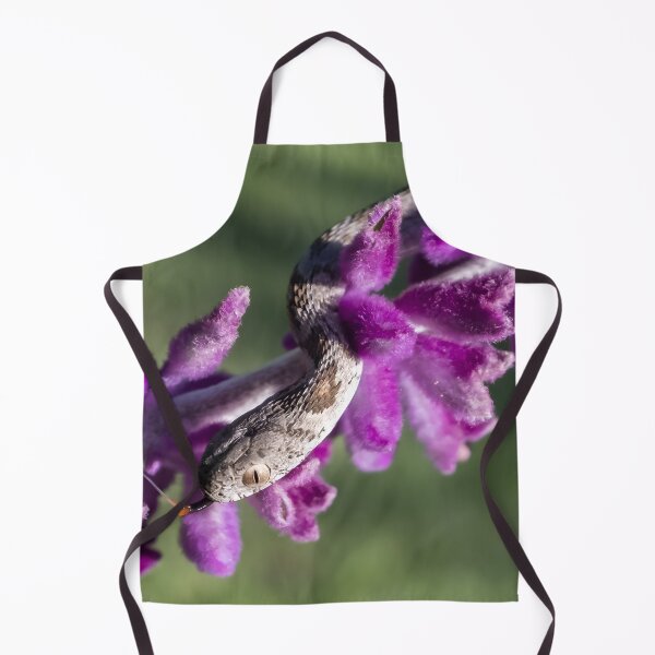 Item preview, Rhombic Egg-Eater (Dasypeltis scabra) designed and sold by Pixel Press Prints.