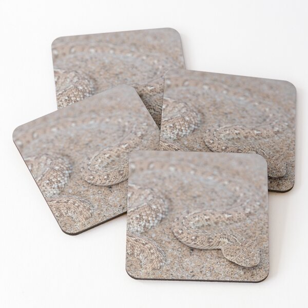 Item preview, Peringuey's Adder (Bitis peringueyi) designed and sold by Pixel Press Prints.