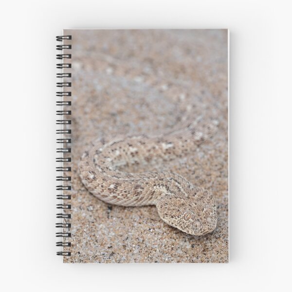 Item preview, Peringuey's Adder (Bitis peringueyi) designed and sold by Pixel Press Prints.