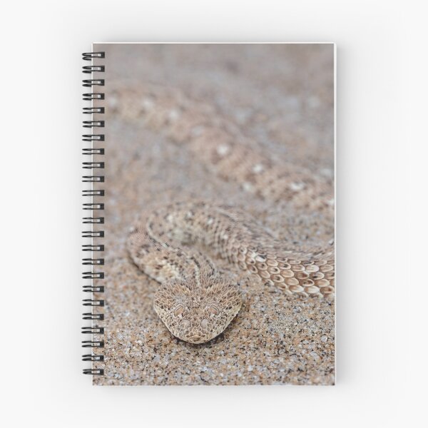 Item preview, Peringuey's Adder (Bitis peringueyi) designed and sold by Pixel Press Prints.