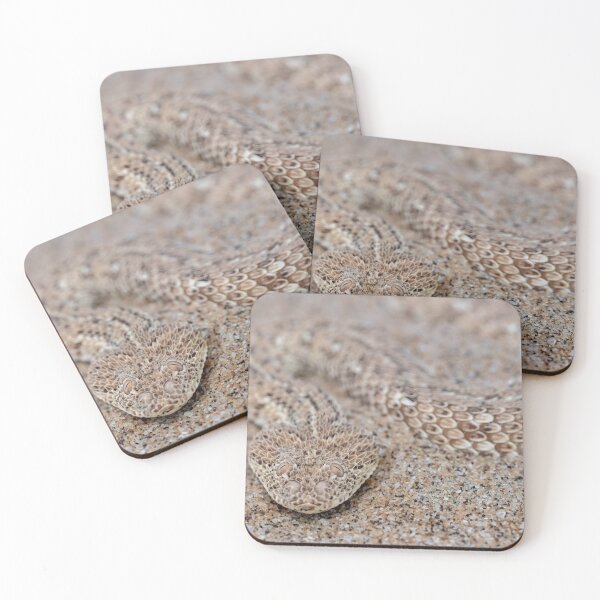 Item preview, Peringuey's Adder (Bitis peringueyi) designed and sold by Pixel Press Prints.