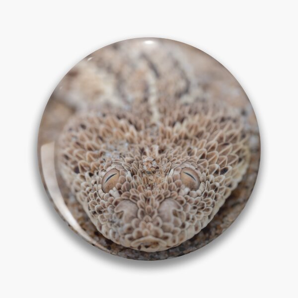 Item preview, Peringuey's Adder (Bitis peringueyi) designed and sold by Pixel Press Prints.