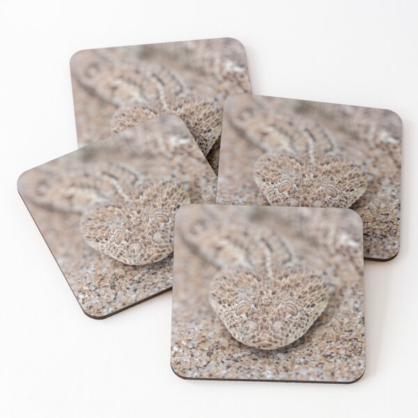 Item preview, Peringuey's Adder (Bitis peringueyi) designed and sold by Pixel Press Prints.