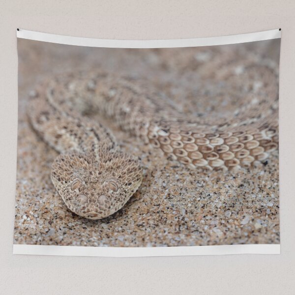 Item preview, Peringuey's Adder (Bitis peringueyi) designed and sold by Pixel Press Prints.