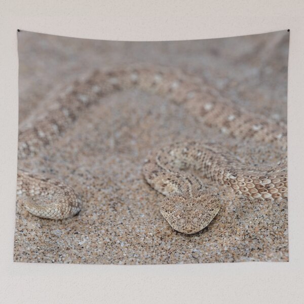 Item preview, Peringuey's Adder (Bitis peringueyi) designed and sold by Pixel Press Prints.