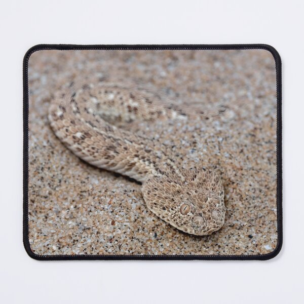 Item preview, Peringuey's Adder (Bitis peringueyi) designed and sold by Pixel Press Prints.