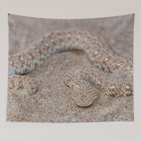 Item preview, Peringuey's Adder (Bitis peringueyi) designed and sold by Pixel Press Prints.