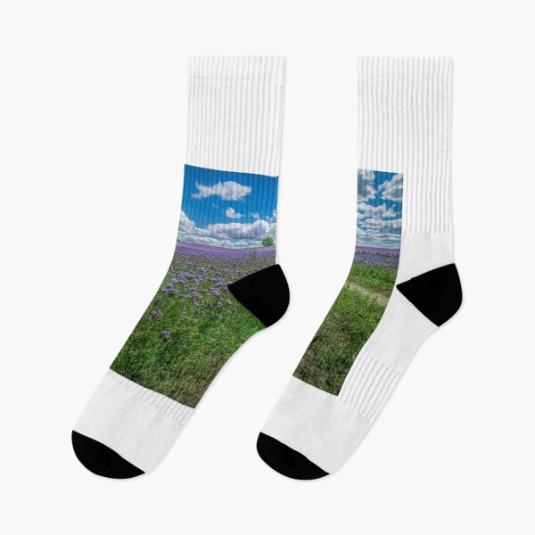 Item preview, lavender fields designed and sold by GIPR.